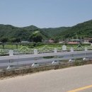 임실 가덕리 하가구석기유적 이미지