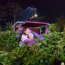 국제태권도연맹대한민국협회부산연제도장 네이버블로그