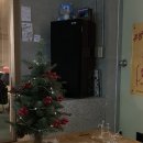 광포반점 이미지