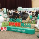 195 이미지