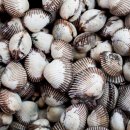 (주)보성유통 이미지