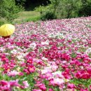 압수나루터농촌체험휴양마을 이미지