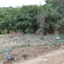 가람합동부동산중개사무소 이미지