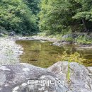 [추가2석-강릉] 하늘아래 첫 동네 부연동계곡(8/23 토요일) 이미지