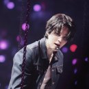 크레이지슈가 이미지