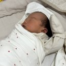 꼬북맘 조리원 라이프 1 _눈물로 지샌 피오레 산후조리원 후기