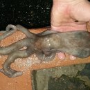 신도카센타 이미지