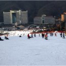 강원도스키장중 비발디파크 스키장 이미지