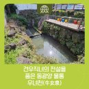 우녀천 네이버블로그