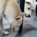 김태희공인중개사사무소 이미지