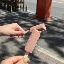 봉쥬르카운티 | Sept_2