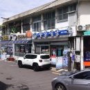 부일여객 | 통영 복국 맛집 통영 부일식당 주차장 쫄복 여객터미널 맛집