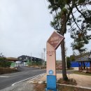 압해도 가볼 만한 곳 신안금산사 사찰 여행