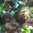 광우상사 이미지