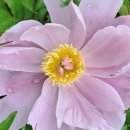 해찬농원 이미지