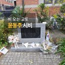 [일본 교토] 비 오는 날 특급열차 타고 찾아간 윤동주·정지용 시비