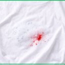 성공세탁 | 피묻은옷 지우기 성공한 후기! 세탁 꿀팁 공유해요