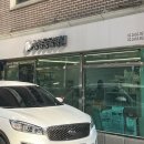 공항 동물병원 이미지