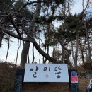 알미뜽 | [청도/대구 근교] 숯가마 <알미뜽> 후기, 대구 근교 새해 찜질 제대로 하는 곳