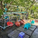 사지목 나무그늘 이미지