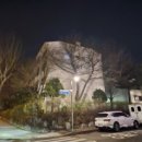 매화마을길(벌말로50번길) 이미지