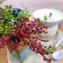 생활도자기(초급) 이미지