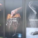 보타닉아덴1 이미지