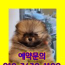 위너풋살 이미지
