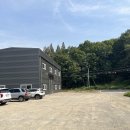 잡수새우 이미지