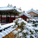 양씨삼강문 이미지