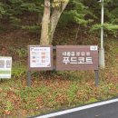 베어트리파크(새총곰푸드코트)
