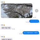 세븐일레븐 송파대로대성점 | 불 꺼진 하늘에 고운 별 하나가 지금 그 어떤 말보다 위로가 되어 주길