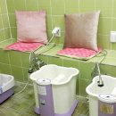 명동자연과한의원 이미지