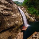 유니언버드 이미지