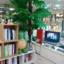 눈짱안경원 이미지