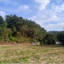 청일파출소 이미지