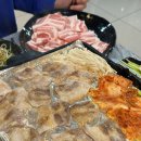 코보냉삼 이미지