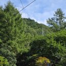 좌구산편의점 이미지