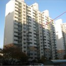 금봉대로 이미지