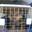 복수남로11번길 이미지