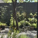 풍경화꽃식물원 | 제주 베케 VEKE 정원 식물원 테마 카페 꼭 방문해보세요!