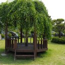 도내1리 이미지