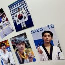 국가대표 태권도 금메달도장 이미지