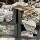 한일 soft 이미지