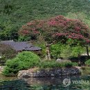 진도 운림산방 이미지