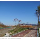 강변자전거길 2 이미지