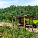 일산자두골마을 이미지