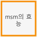 MSM 이미지