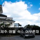 머무른채 이미지