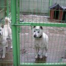 똘이식당 이미지